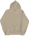 LetterBlock Hoodprint Pullover